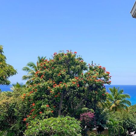 A Little Aloha Apartment Kailua-Kona Exterior photo